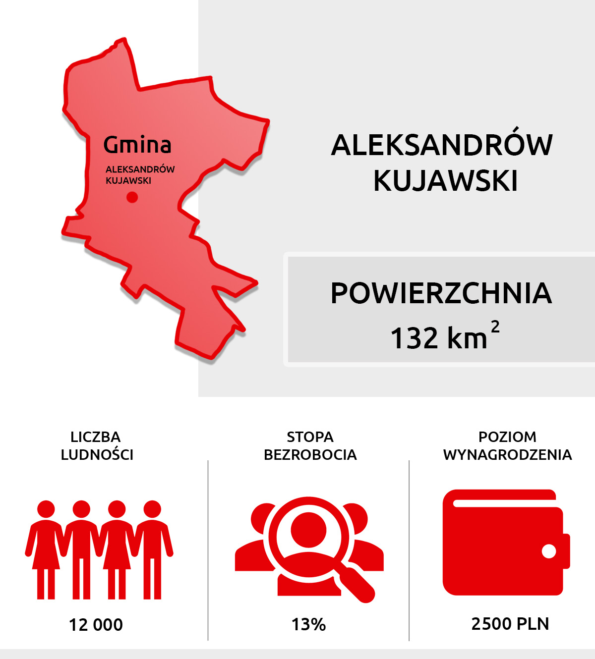 Dane statystyczne Aleksandrów Kujawski